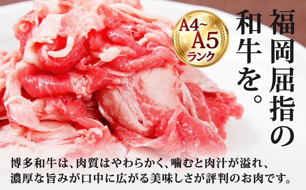 博多和牛切り落とし約500g（250g×2）