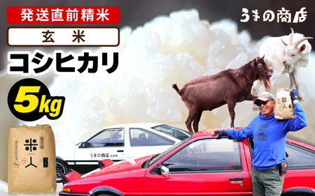 令和7年産 コシヒカリ 5kg【玄米】 [m25-a006_03]