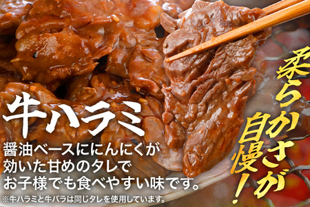 牛豚味付け焼肉セット 2.4kg 牛バラサガリ 牛バラ 豚バラ 味付き 小分け 保存 醤油 にんにく タレ 子供 生姜 香味野菜 ネギ塩 キャンプ バーベキュー 福岡県 福岡 九州 グルメ お取り寄せ