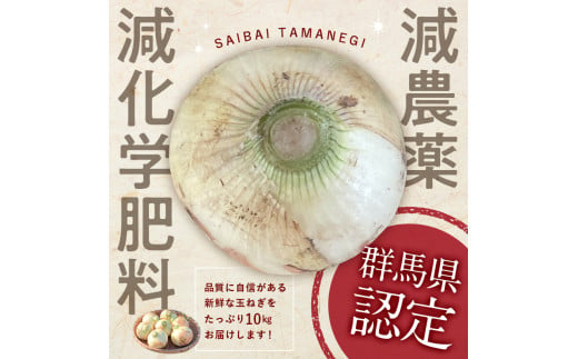 ＜2026年発送 先行予約＞甘すぎる新鮮玉ねぎ 10kg（2026年6月1日～6月25日頃出荷） 減農薬減 化学肥料 生食 たまねぎ 玉ねぎ タマネギ 野菜 食品 F21E-111