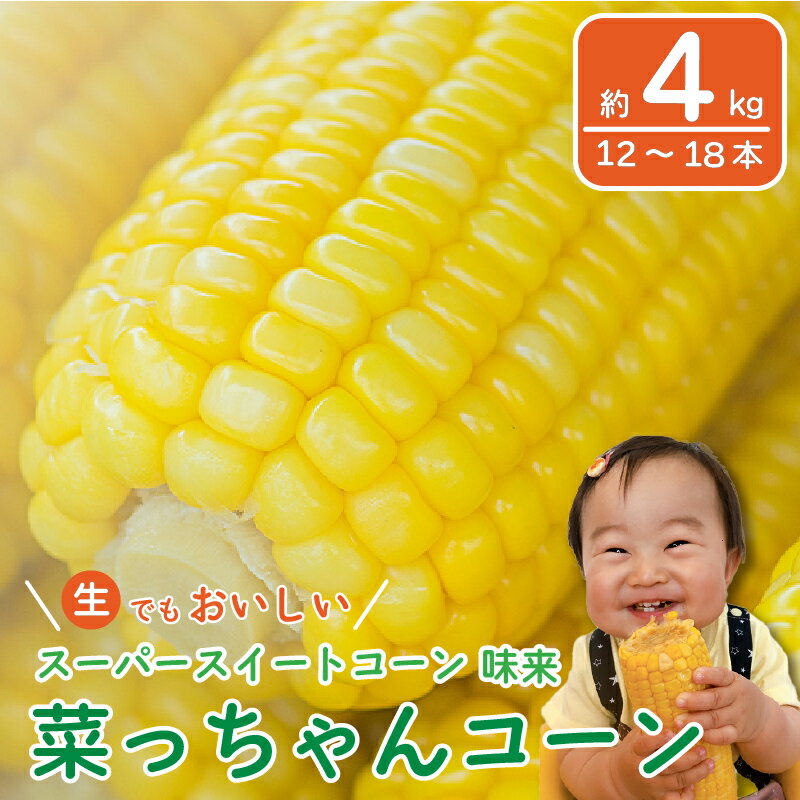 【ふるさと納税】 とうもろこし みらい 12～18本 スイートコーン 朝どれ 糖度20度 味来 甘い 《 2025年6月～順次発送 》 コーン サラダ 徳島県 阿波市 【 野菜 とうきび 旬 新鮮 ギフト 産地直送 お取り寄せ 朝採れ みらいコーン 期間限定 数量限定 季節限定 早期予約 】