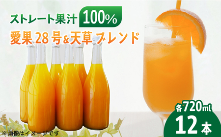 あいか＆天草ブレンド 果汁100％ ジュース 720ml×12本 | 愛果28号 紅まどんな と同品種 果汁100% 無添加 ストレートジュース 数量選択可 みかんジュース 果汁100% みかんジュース ストレート 100% ジュース 柑橘 果汁飲料 みかんジュース NPO法人農音 愛媛県 松山市 中島【NO109】