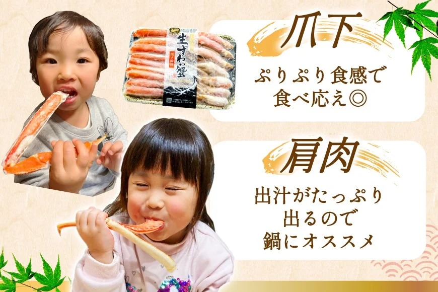 かに【年内配送】 カット済 生 ずわいがに むき身 セット 総重量 1.5kg (正味重量1.2kg) 2-3Lサイズ [カネダイ 宮城県 気仙沼市 20565690] かに カニ ズワイガニ ずわい ズワイ 蟹 棒肉 ポーション かに鍋 かにしゃぶ 生ずわい