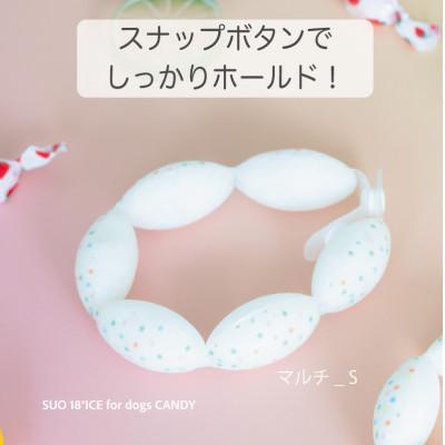 ふるさと納税 神戸市 SUO 18°ICE for dogs CANDY　Sサイズ(マルチ)