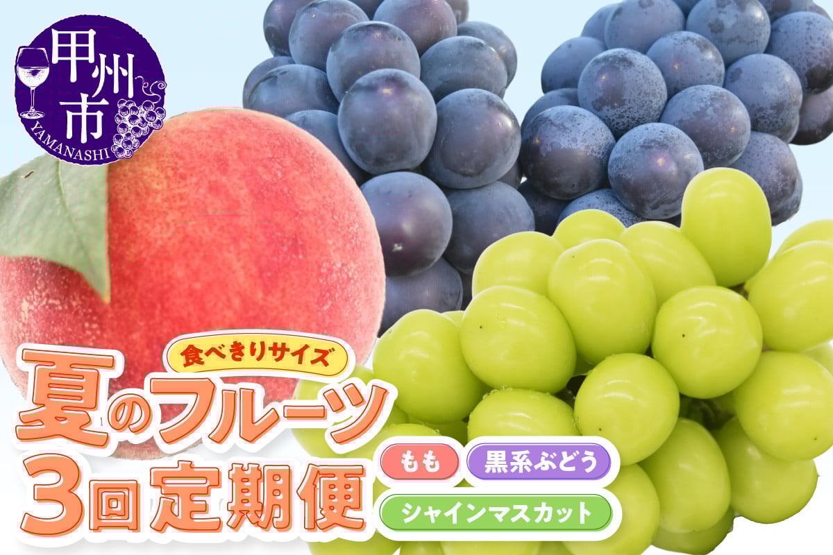 
            【定期便】【食べきりサイズ】季節限定 夏のフルーツ3回定期便（KSB）C2-101【桃 黒系ぶどう シャインマスカット もも モモ 葡萄 ぶどう ブドウ 期間限定 山梨県産 甲州市 フルーツ 果物】
          