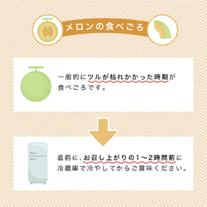 【2024年6月より順次発送】ふらの山部の絶品メロン『鳳凰』 2L（1.8～2kg）×2玉（坂口農産）メロン フルーツ 果物 新鮮 甘い 贈り物 ギフト 道産 ジューシー おやつ ふらの ブランド 夏