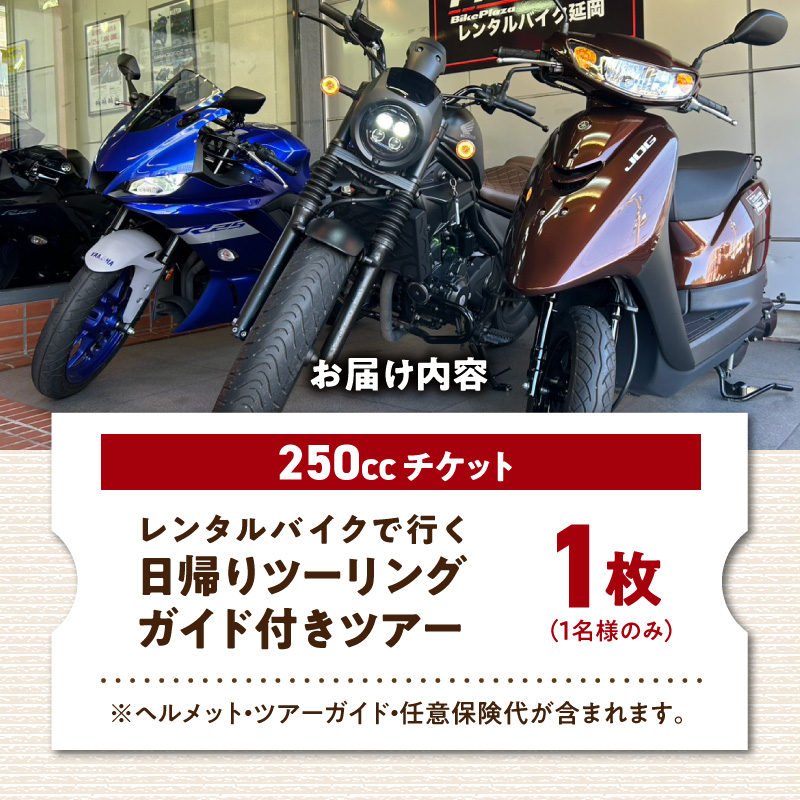 レンタルバイク（250cc）でガイド付き日帰りツーリングツアー N0215-YG0253_イメージ5