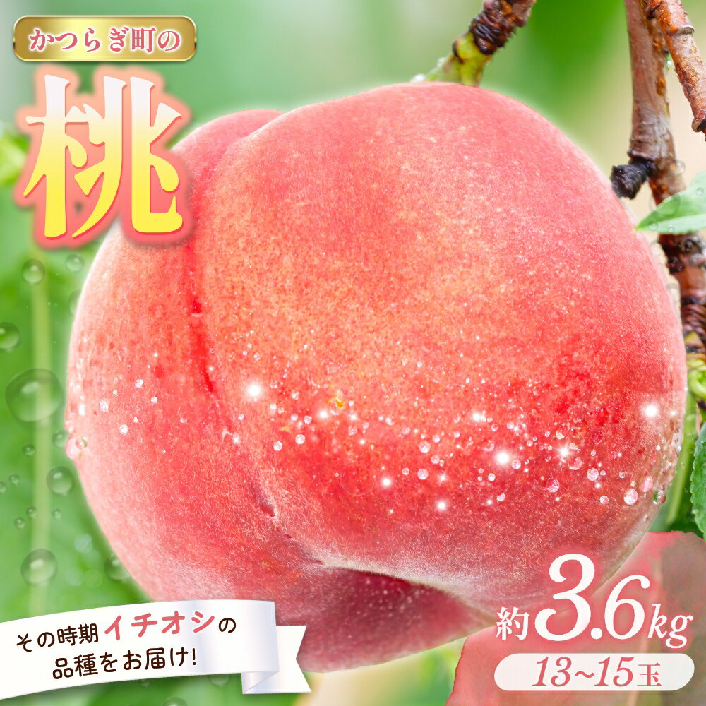 【ふるさと納税】＜甘い香りと果汁が自慢＞桃13～15玉【2025年7月～8月頃順次発送】 | もも 桃 モモ 甘い ジューシー ふるさと納税 和歌山 先行予約 果物 品種 送料無料 産地直送 絶品 濃厚 特産品 名産品