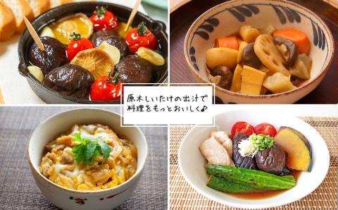 宮崎県産 乾燥 椎茸 40g×1袋 チャック袋入 [ HUTTE 宮崎県 美郷町 31ao0011] 干ししいたけ 出汁 オーガニック 原木栽培 有機JAS認証 料理 調理 小分け 常温 渡川 アヒー