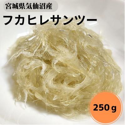 ふるさと納税 宮城県 【宮城県気仙沼産】フカヒレサンツー250g