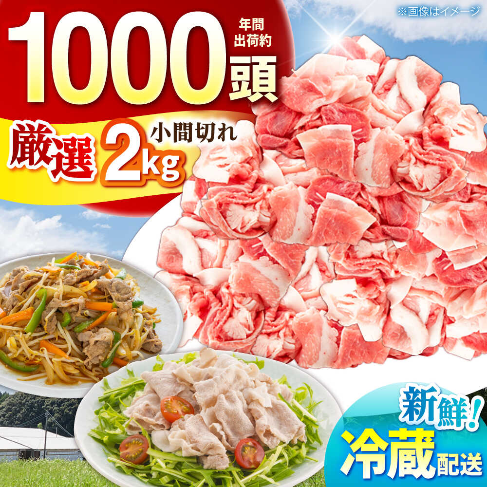 【ふるさと納税】 ええやんさくらポーク 小林ファーム 豚肉 小間切れ 2kg / 三元豚 肉 豚肉 小間切れ 細切れ こま切れ 豚こま 豚 /亀山市/小林ファーム[AMAB059]