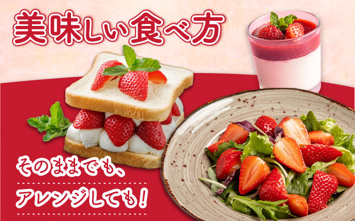 いちご 恋みのり 250g × 4パック / イチゴ 苺 果物 フルーツ / 南島原市 / JA島原雲仙東南部基幹センター [SAC007]