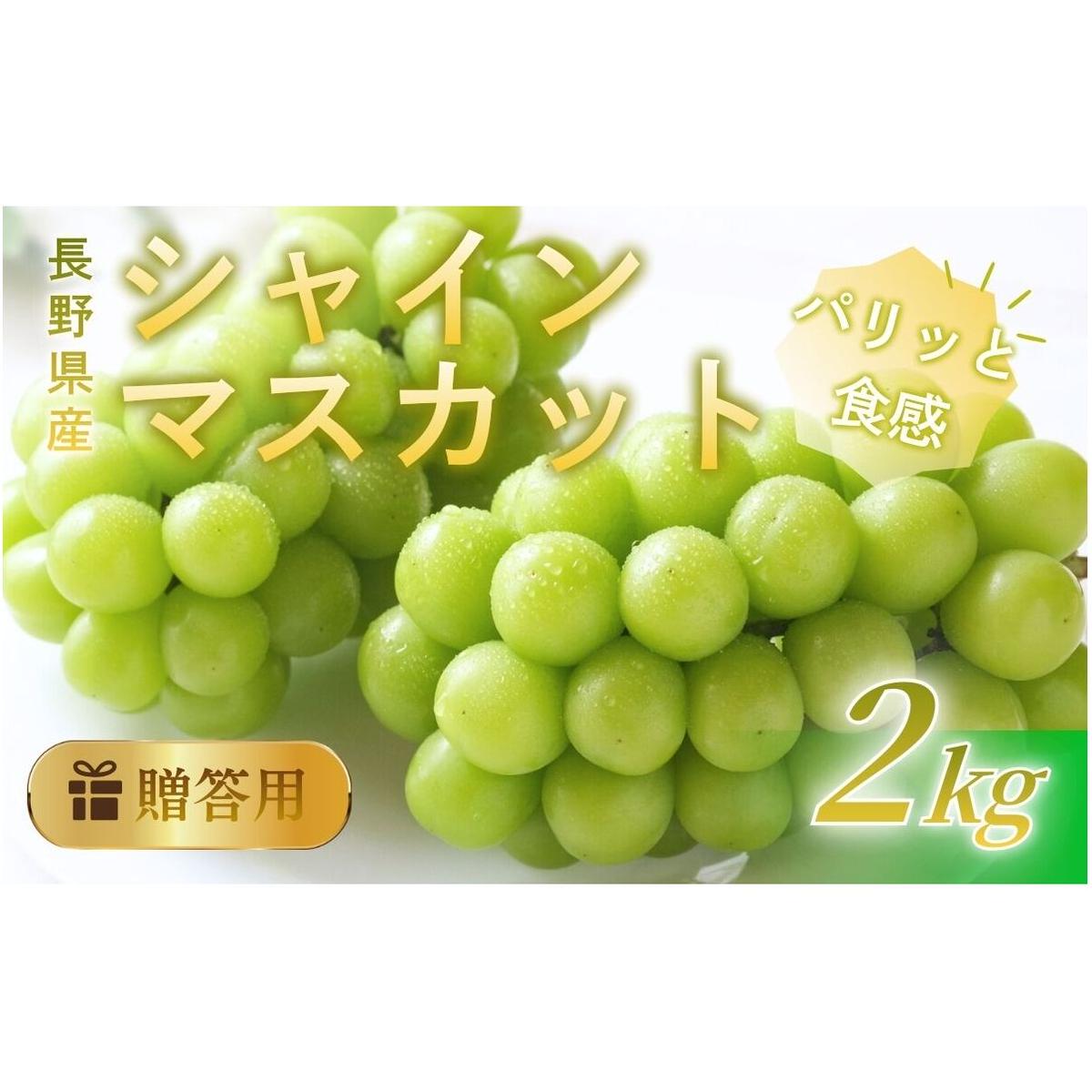 【ふるさと納税】シャインマスカット 2kg 贈答用 信州 フルーツ 果物　ぶどう ブドウ 葡萄 マスカット くだもの 旬の果物 旬のフルーツ 信州産 長野県産 長野 長野県 上田市　お届け：2026年9月中旬～10月中旬まで