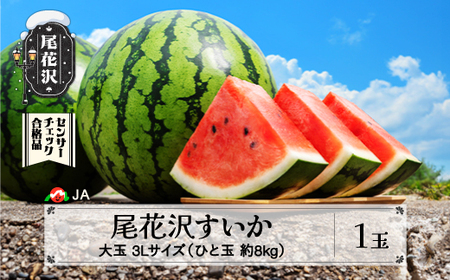 先行予約 すいか スイカ 尾花沢すいか 3Lサイズ 約8kg×1玉 7月下旬～8月10日頃発送 令和7年産 2025年産 尾花沢 スイカ すいか JA ja-su3xx1