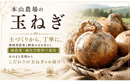 【令和9年産先行予約】野菜の定期便（大） 3回便  野菜 定期便 幻のアスパラ ラスノーブル とうもろこし 玉ねぎ 北海道 本山農場 | 野菜定期便 グリーンアスパラ アスパラ アスパラガス あすぱら