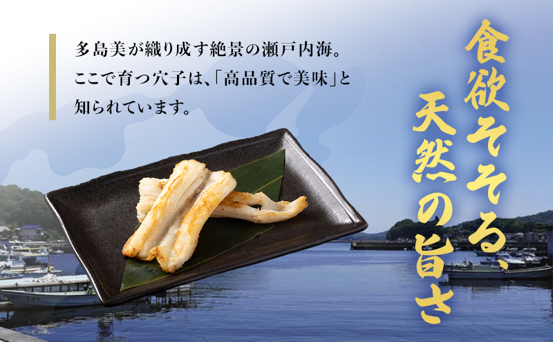 あなご 先行予約 山銀商店 白焼き あなご (合計約300g) 産地直送 穴子 魚介類 アナゴ
