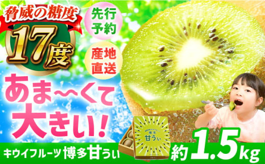 【★先行予約★　2025年11月上旬以降発送】博多甘うぃ 約1.5kg（9玉） 5Lサイズ キウイ きうい あまうぃ 果物 くだもの フルーツ 甘い 果肉 果実 ビタミンC 博多 広川町 / JAふくおか八女農産物直売所どろや [AFAB078]