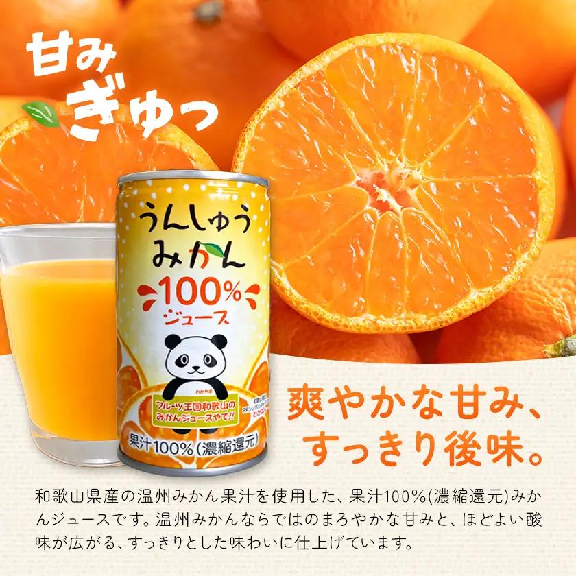 うんしゅうみかん 果汁100%（濃縮還元）30缶 