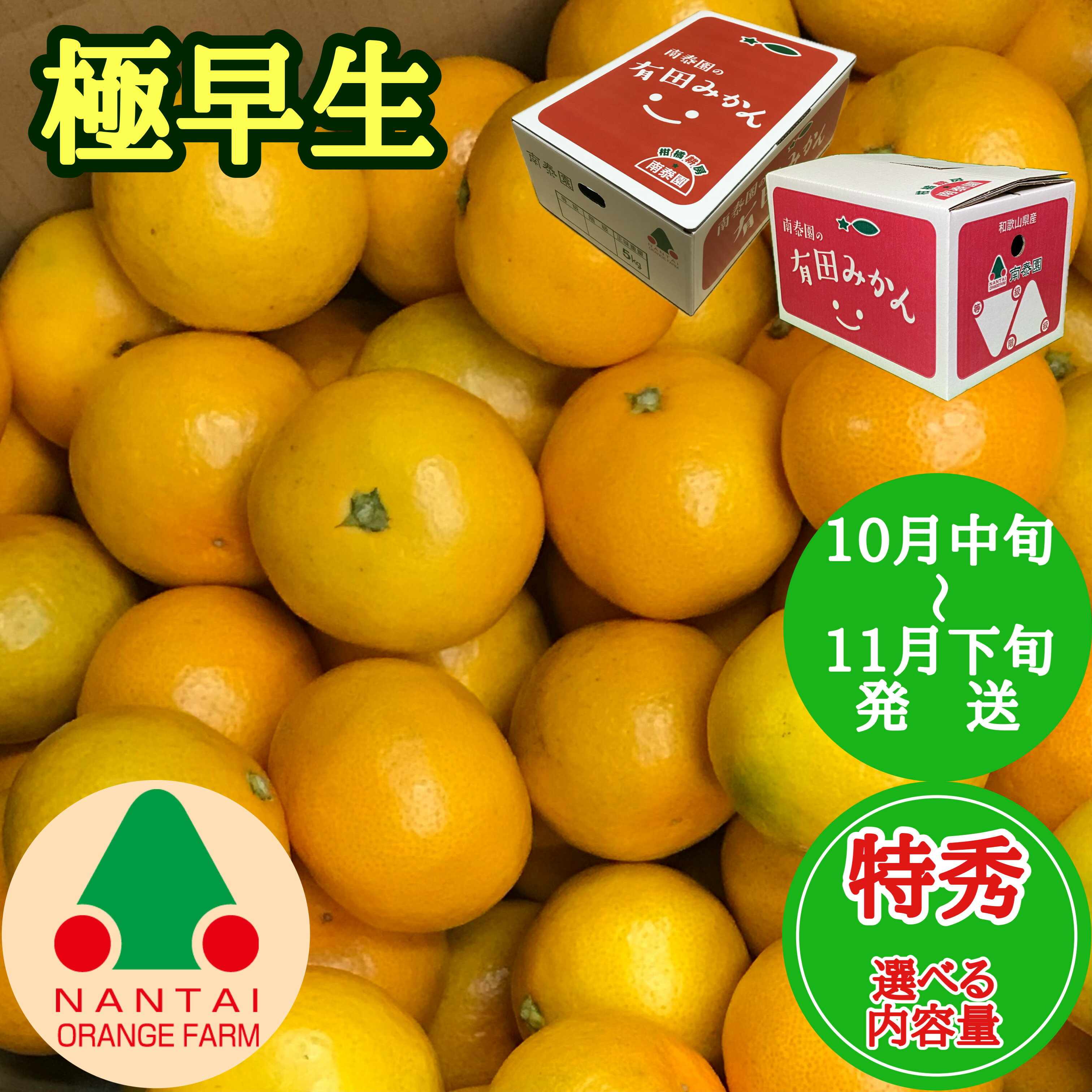 【ふるさと納税】【選べる容量】極早生 有田 みかん 特秀 L～SS サイズ 約3～5kg 南泰園 和歌山 有田みかん