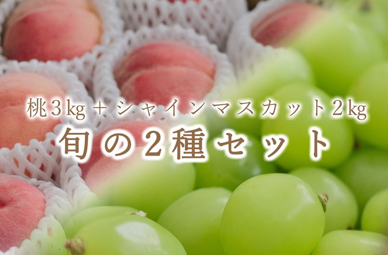 
            【定期便】甲州市自慢の“桃 約3kg”と“シャインマスカット 約2kg”の2種セット【2025年発送】（BNC）F5-702 【桃 もも シャインマスカット 葡萄 ぶどう 令和7年発送 期間限定 山梨県産 甲州市 フルーツ 果物】
          