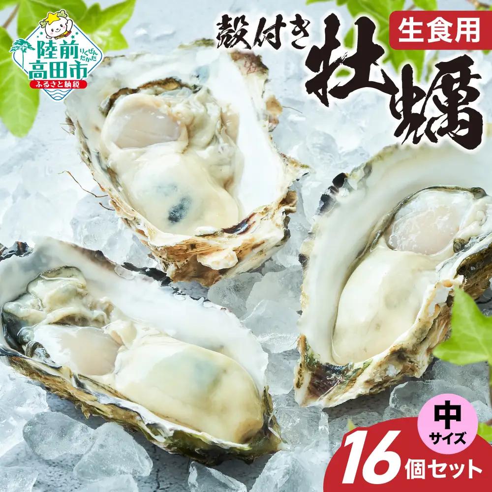 先行予約 【殻付き生牡蠣】中サイズ16個 冷蔵 生食 牡蠣