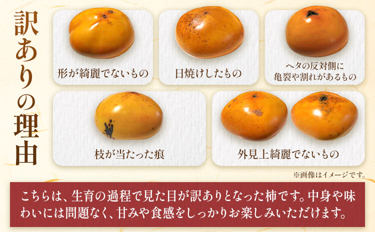 ご家庭用 柿 八頭町が誇る 日本随一の 甘柿 花御所柿 約3kg Tottori食のまごころ農園 《12月上旬-12月下旬頃出荷》鳥取県 八頭町 柿 かき カキ 花御所柿 甘柿 果物 フルーツ 訳あり