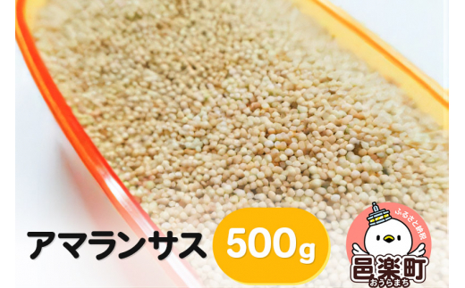 アマランサス 500g×1袋 サイトウ・コーポレーション 飼料