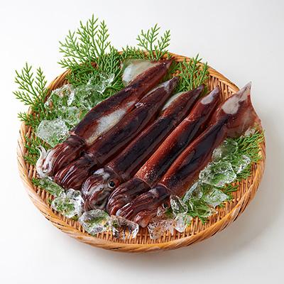 ふるさと納税 新温泉町 冷凍スルメイカ　約1kg入 |  | 02