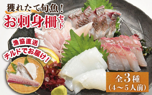 
【漁協直送！】 獲れたて 旬魚 の柵 3種 セット（ 刺身 2種＆ イカ 1種）（4～5人前）【平戸市/舘浦漁業協同組合】 [KAA333]
