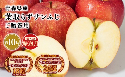 
                  2026年産≪選べる発送月≫ １１月～４月発送　贈答用葉とらずサンふじ10kg【青森県 平川市 そと川りんご園】１１月～４月発送 贈答 青森 青森県産 平川 葉とらず サンふじ ふじ りんご リンゴ 林檎 くだもの 果物 フルーツ 
                