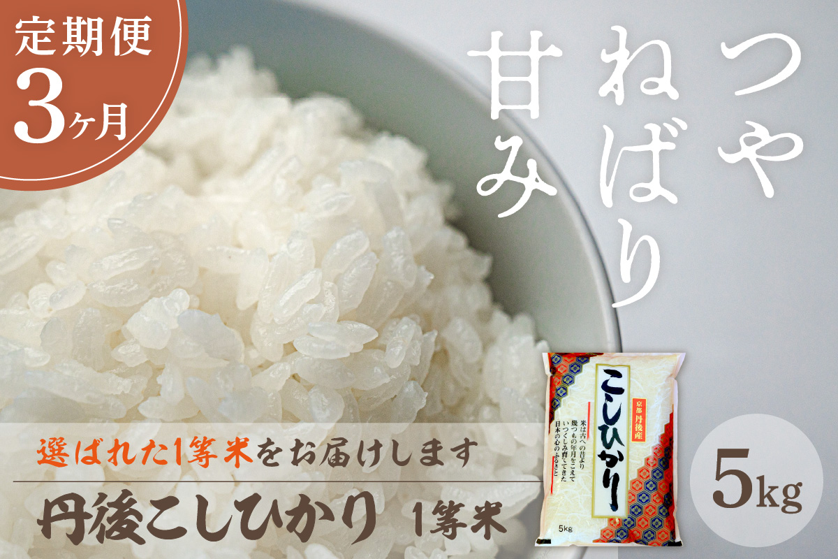 【定期便3回】令和8年産 丹後こしひかり 5kg×3ヵ月 1等米 お米 コメ こめ 丹後 コシヒカリ 精米 ふるさと 納税 コシヒカリ 精米 ふるさと 納税 こしひかり 精米 ふるさと 納税 米　MU00103