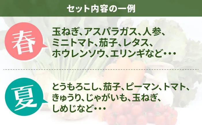 【6回定期便】お試し野菜セット 8品目 詰め合わせ / 野菜 やさい ヤサイ 旬 新鮮 / 南島原市 / 吉岡青果[SCZ029]