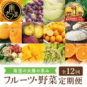 【ふるさと納税】【定期便】南国の恵み 旬のフルーツ・野菜定期便（全12回）旬が届くお楽しみ！鹿児島県産/果物/柑橘/不知火/みかん/金柑/たんかん/お茶/新茶/米/コシヒカリ/ぶどう/巨峰/紅はるか/完熟マンゴー/アールスメロン/特産品 定期お届け 1年間