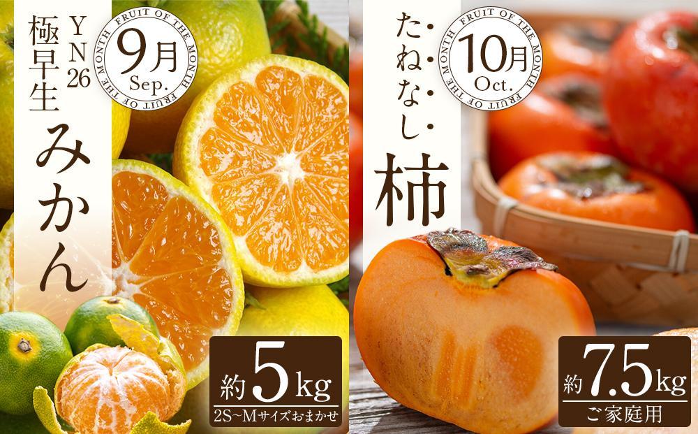 【定期便全6回】夏・秋の新鮮フルーツ定期便 ［TM203］