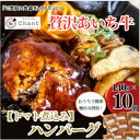 【ふるさと納税】【トマト煮込み】こだわりのあいち牛『肉汁』ハンバーグ　10個セット　おいしい食べ方レシピ付き【配送不可地域：離島】【1405731】