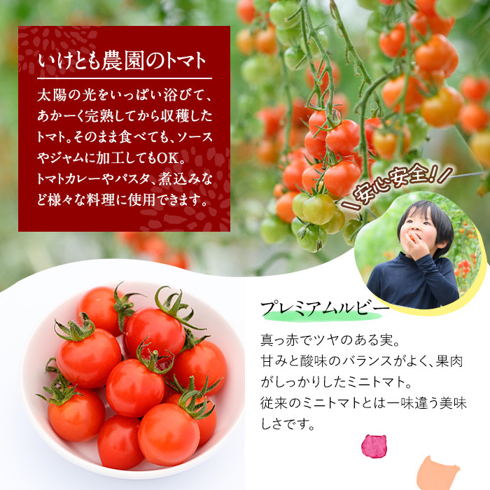 ＜先行予約受付中！2026年2～3月の間に発送予定＞訳あり 規格外 数量限定 門川町産 ミニトマト(計3kg)  訳あり 規格外 数量限定 門川町産 ミニトマト 期間限定 生活応援 とまと 野菜 ミッ