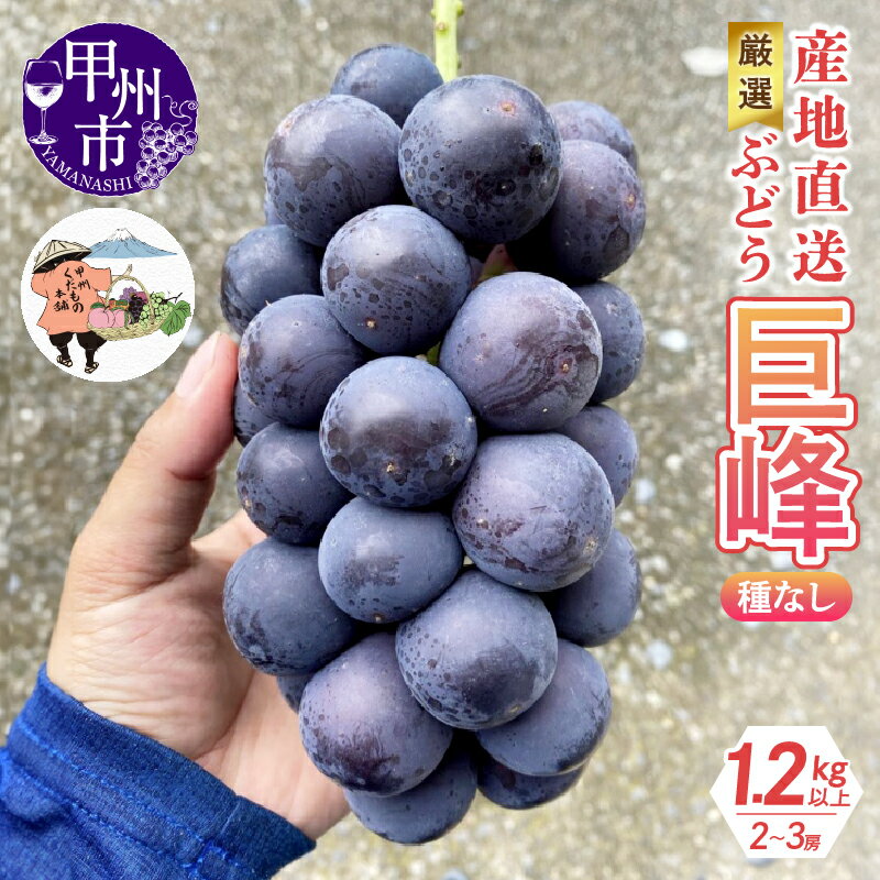 【ふるさと納税】 巨峰 黒ぶどう 果物 種なし 1.2kg 2～3房 厳選 産地直送 フルーツ ブドウ 果実 くだもの 期間限定 数量限定 家庭用 ギフト 贈答 2025年発送 8月 9月 発送 山梨県 甲州市 （KKH） 【B-492】