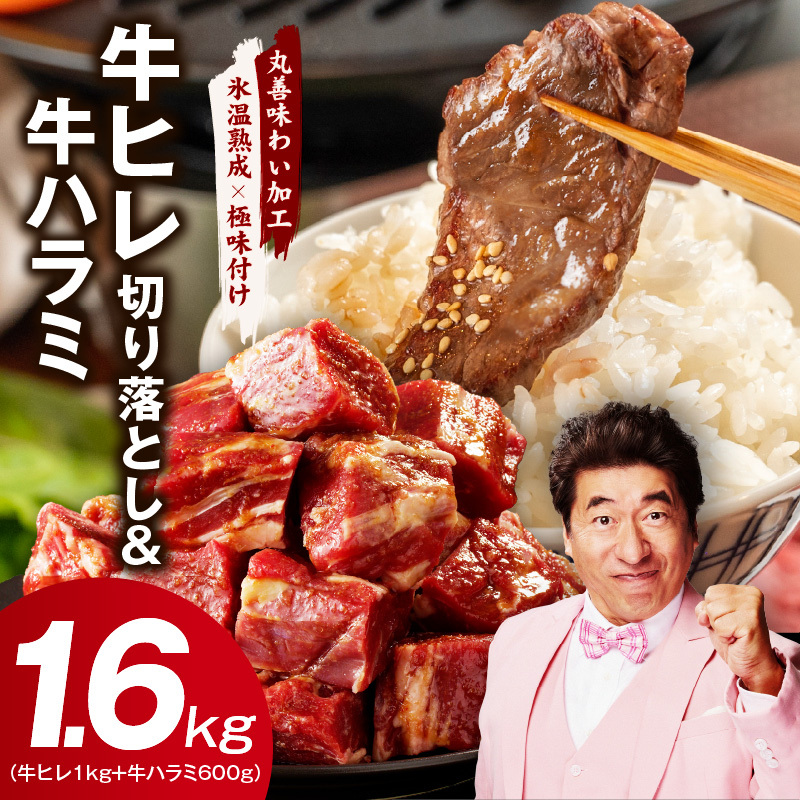 【氷温熟成×特製ダレ】牛ヒレ 1kg＋牛ハラミ 600g 合計1.6kg【味付き 訳あり サイズ不揃い 小分け】 mrz0313