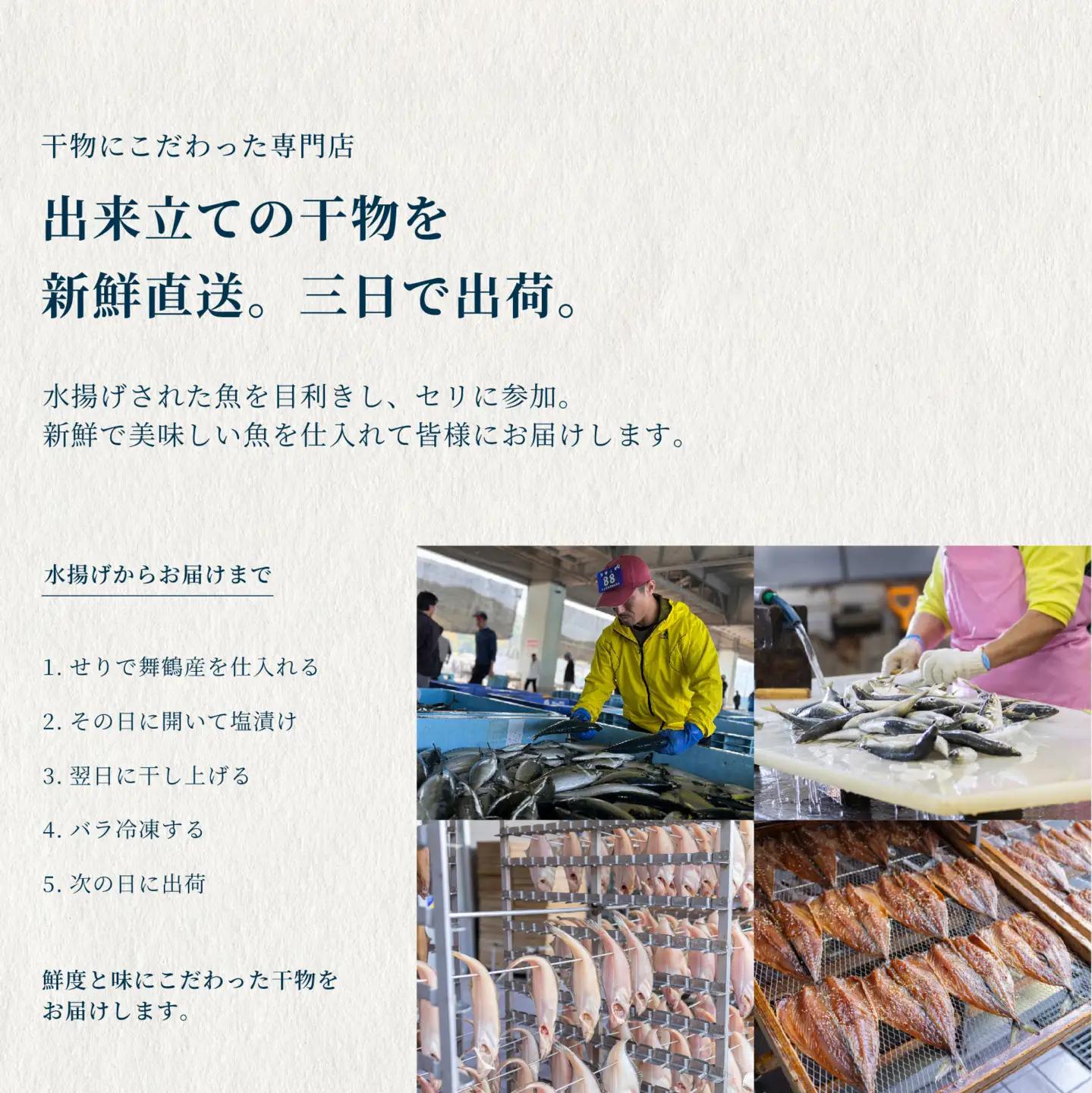 訳あり 干物 約1kg （3種類） 舞鶴産 お試し 干物 セット 