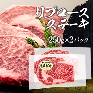 蓼科牛ステーキセット2（リブロース250g×2パック、サーロイン200g×2パック、ヒレ120g×2パック）