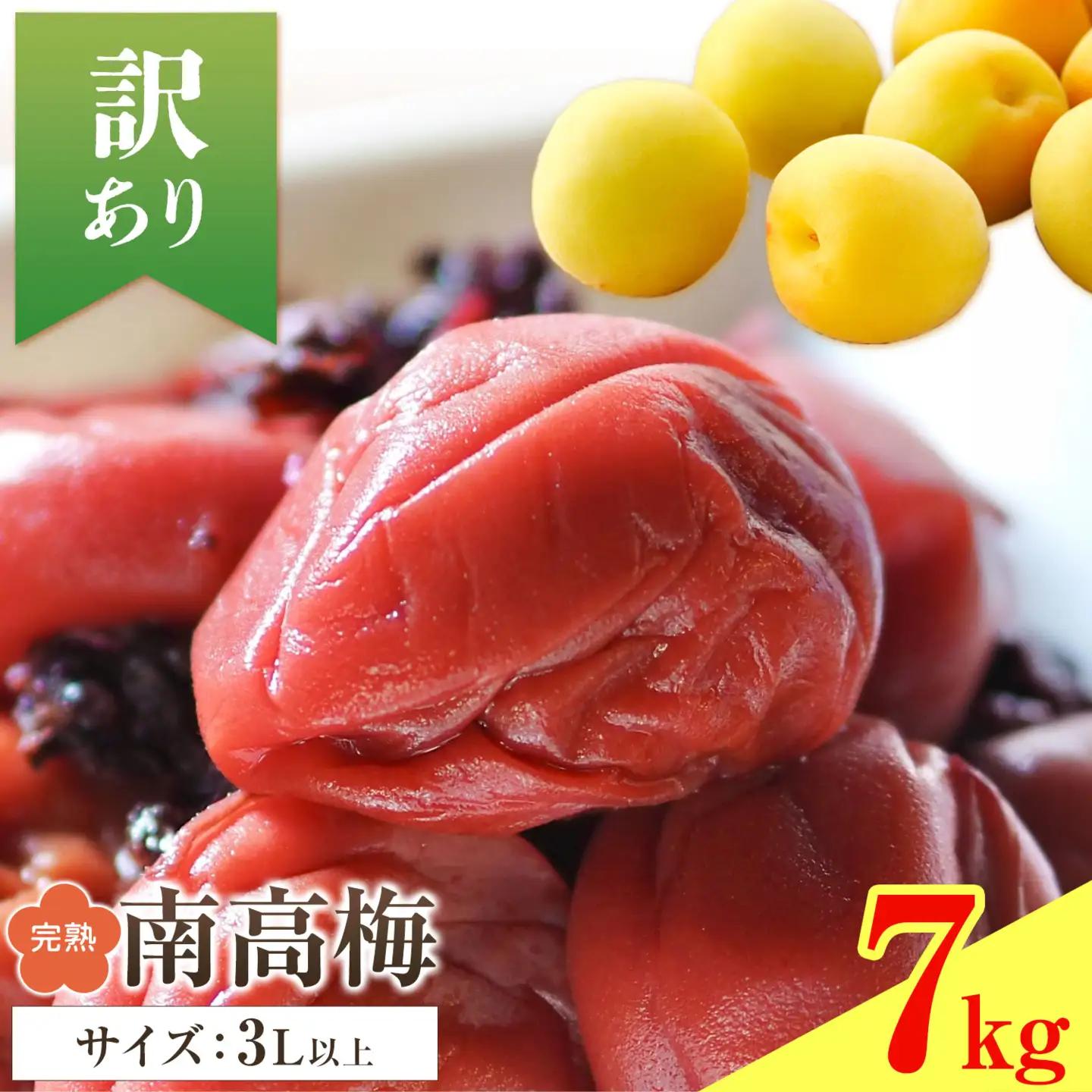 紀州南高梅 訳あり(完熟) 7kg 農業福祉研究機構《6月下旬-7月上旬頃出荷》