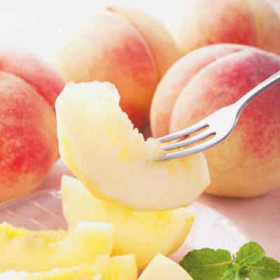 ふるさと納税 山梨市 【発送月固定定期便】やまなし旬のフルーツ定期便(桃・シャインマスカット)【L】全2回 |  | 01