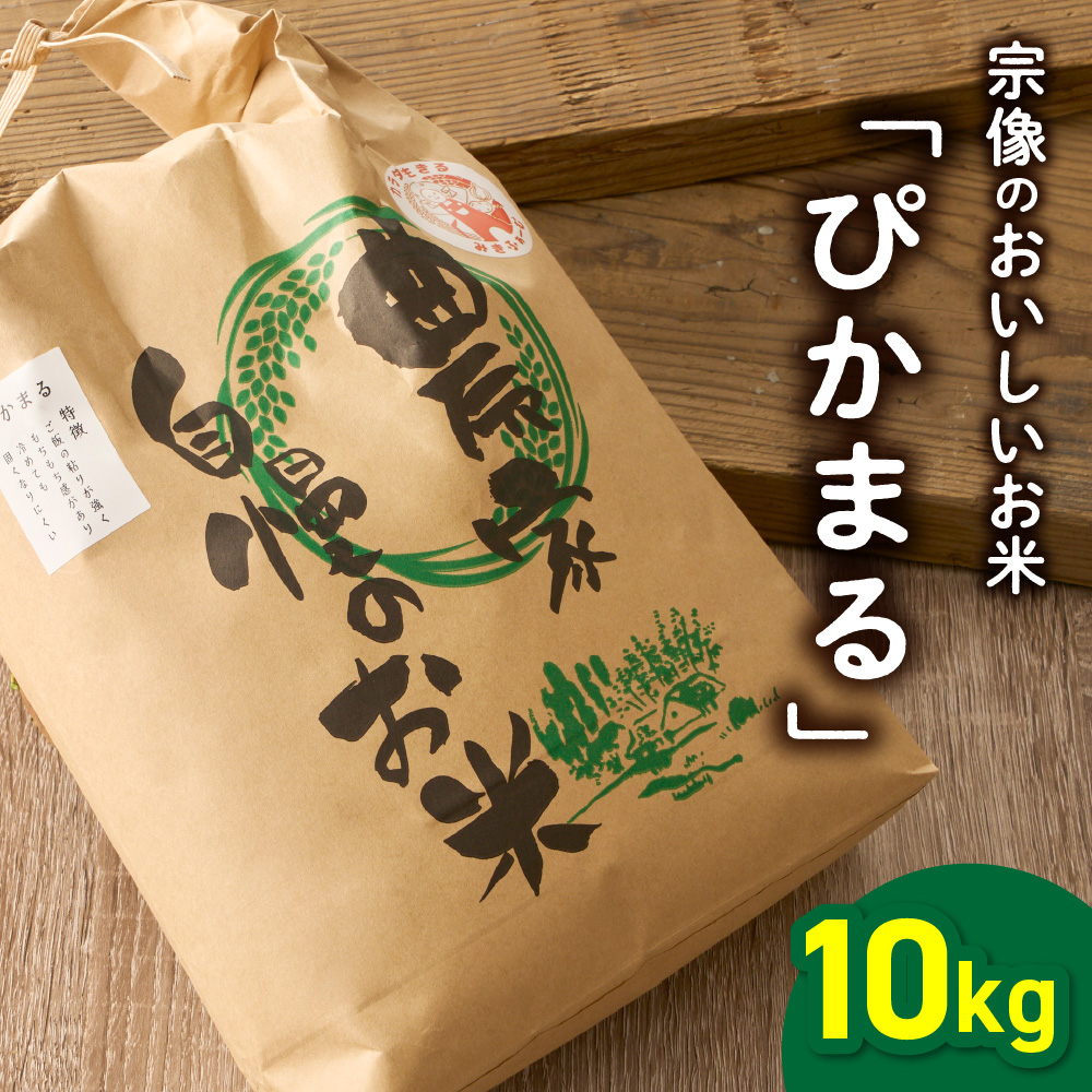 令和7年産 むなかた産 米 ぴかまる 10kg【みきふぁーむ】_HA1544