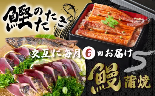 
            6回 定期便 うなぎ の 蒲焼 と 鰹のタタキ 月替わり 定期便 冷凍 海の幸 川の幸 川魚 魚 魚介 かつお カツオ 鰹 藁焼き たたき タタキ ウナギ 鰻 鰻の蒲焼 ご当地 グルメ ごちそう 総菜 おかず 四国 高知 四万十 しまんと 新鮮 25-847
          