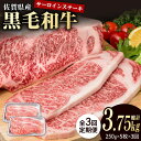 【ふるさと納税】【3回定期便】佐賀県産 黒毛和牛 贅沢 サーロイン ステーキ 250g×5枚（計1250g）【株式会社いろは精肉店】お肉 肉 牛肉 冷凍 和牛 [IAG093]