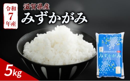 みずかがみ 5kg 令和7年産 米 精米 こめ コメ お米 ご飯 5キロ 令和7年 滋賀 彦根 【近江米】