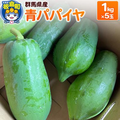 ふるさと納税 板倉町 【発送期間限定】青パパイヤ 5kgセット(1kg×5玉)群馬県産|13_ebf-020501