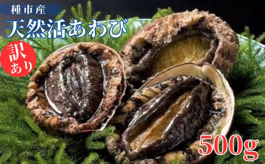 種市産天然活あわび(訳あり) 4～6個程度(約500g) お刺身 鮑 ステーキ 産地直送 冷蔵