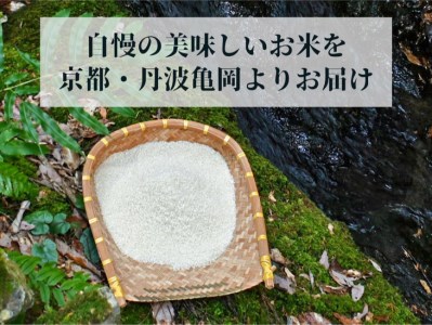 令和8年産【6回定期便】白米 コシヒカリ 5kg 精米 定期便