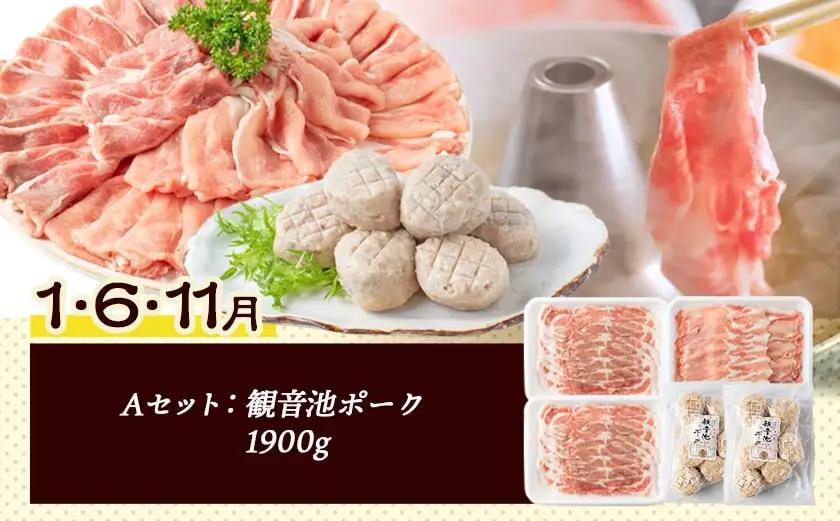 豚・鶏5種類の定期便（12ヶ月間）〔T100（12）-1501〕_(都城市) 観音池ポーク 焼くだけミートポーク6種セット 宮崎名物チキン南蛮セット 観音池ポークスライスセット 宮崎県産鶏焼くだけミー